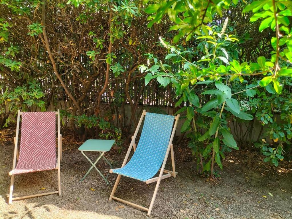 Calme Et Intimite Proche Avignon Piscine Options Au Choix Privee Ou Partagee De Juin A Octobre Villa Morieres-les-Avignon Luaran gambar